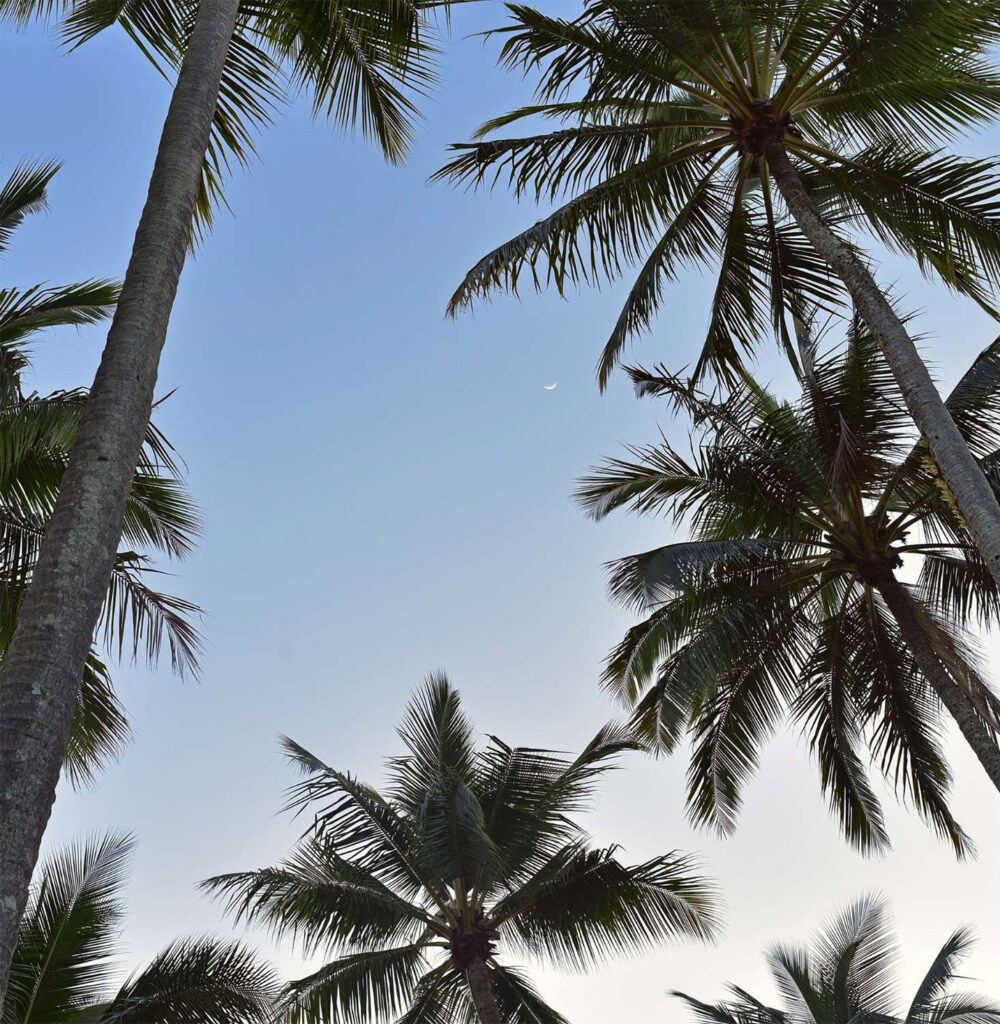 Our Office | Visit The Palms Recovery | Rehabilitation and Addiction Treatment Center in Florida