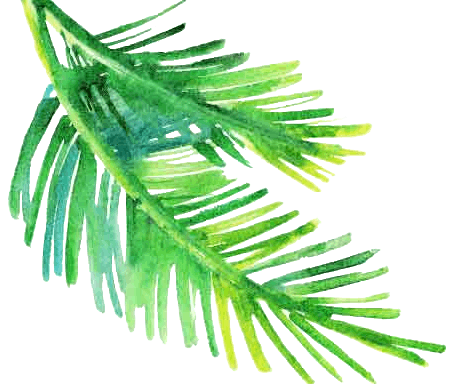 The Palms Recovery
